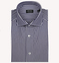 Zegna Stripe Dress Shirt in Navy White